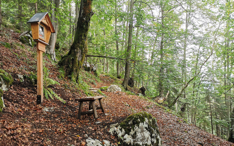 Rest area in the forest